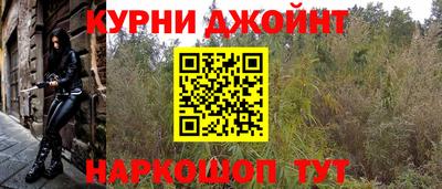 дмт Камышлов