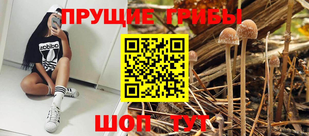 Галлюциногенные грибы мицелий  Вход с VPN  Кузнецк  Псилоцибиновые грибы GOLDEN TEACHER 