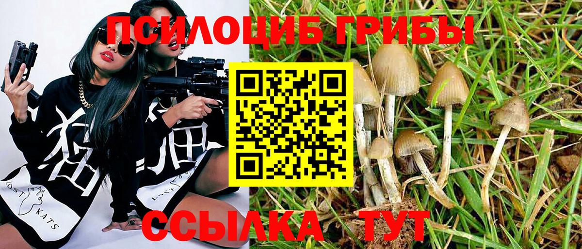 Галлюциногенные грибы GOLDEN TEACHER Кузнецк