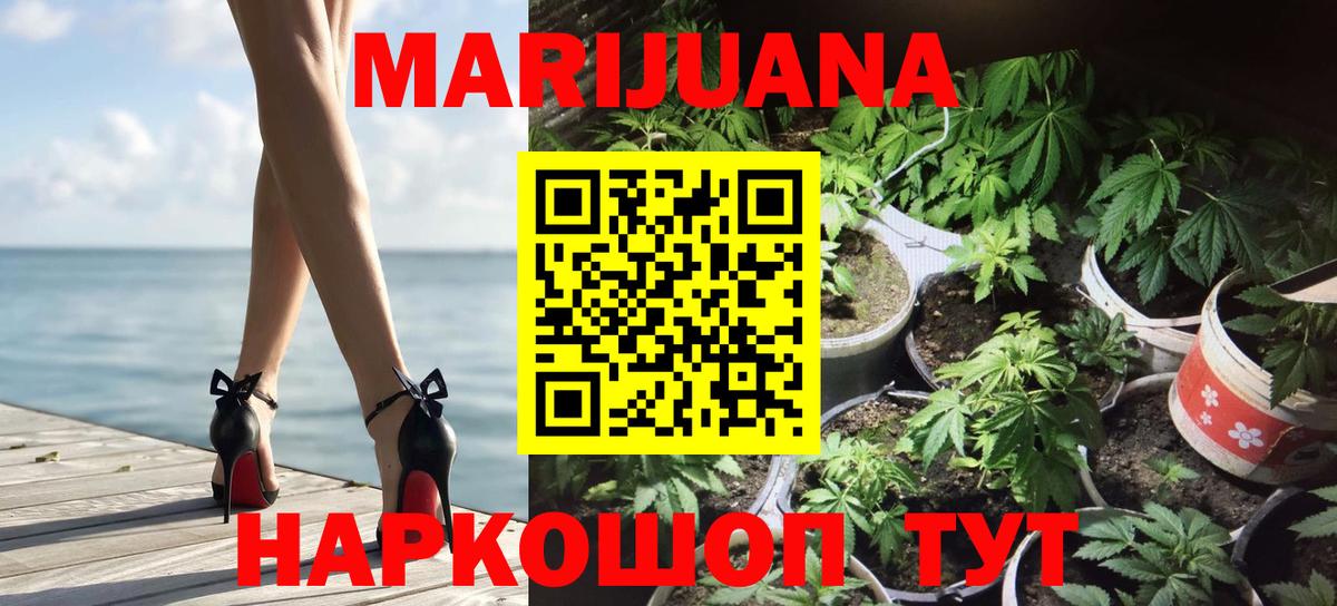Бошки Шишки планчик Кузнецк